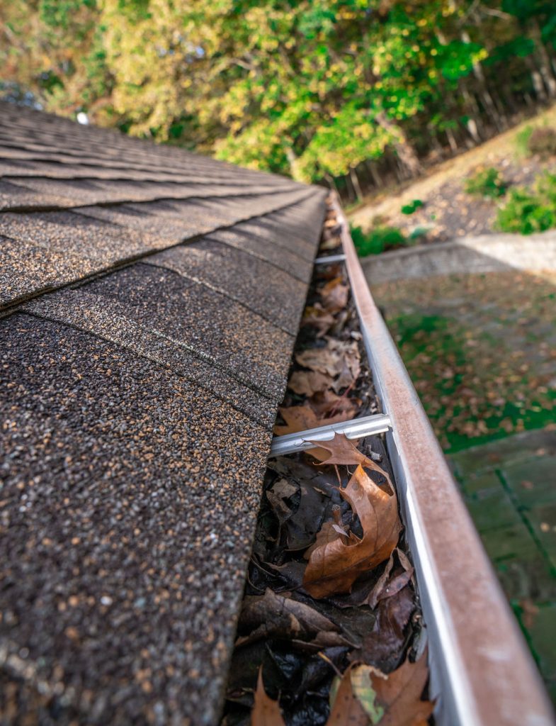 gutter cleaning - before