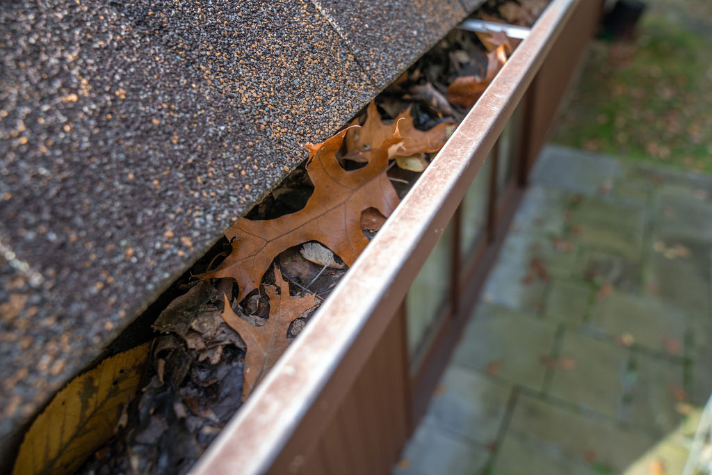 gutter cleaning - before