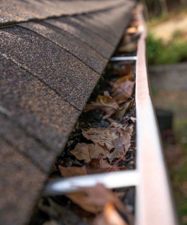 https://www.brothersgutters.com/central-dfw-tx/wp-content/uploads/sites/85/2023/08/Gutter-Cleaning-Template-1.1.jpg