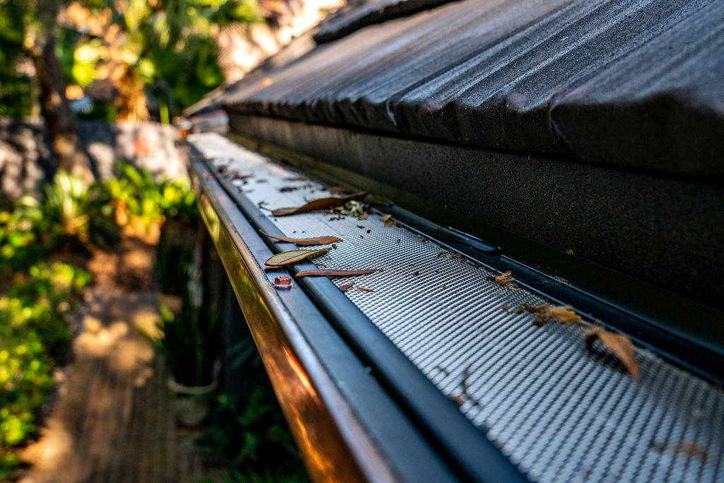 mesh gutter guards blocking leaves from clogging a gutter