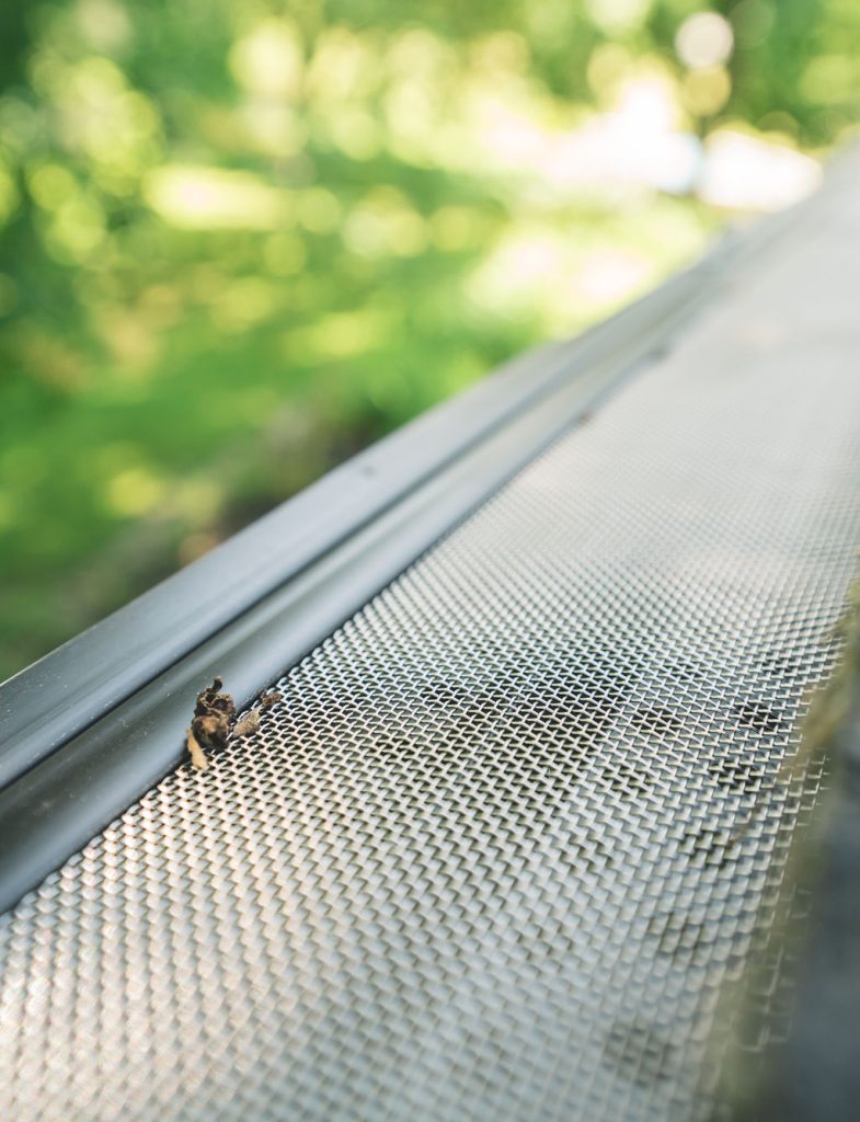 mesh gutter guards