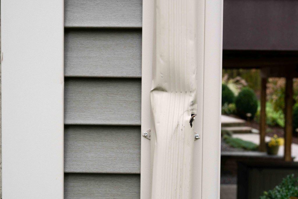 downspout repair needed - dented downspout with a hole in it.