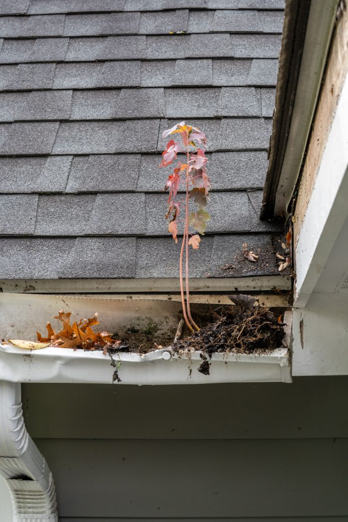 gutter repair needed