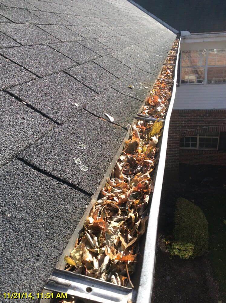 Gutter Cleaning