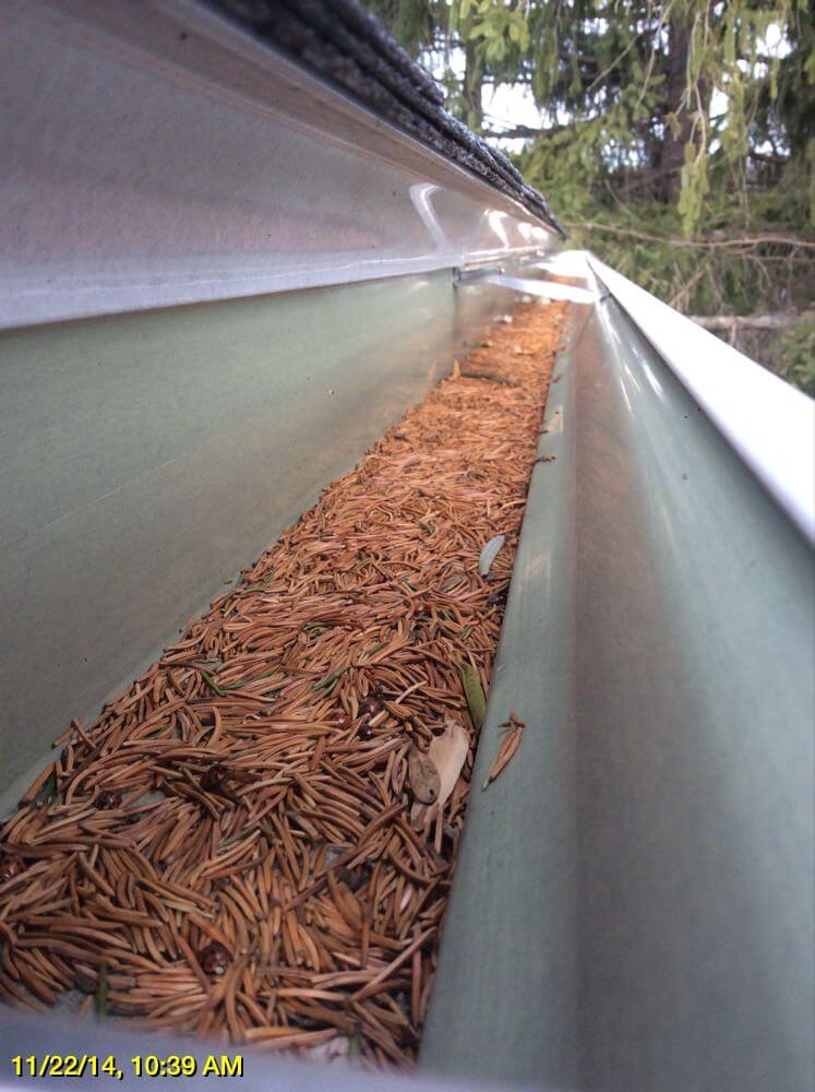 Gutter Cleaning