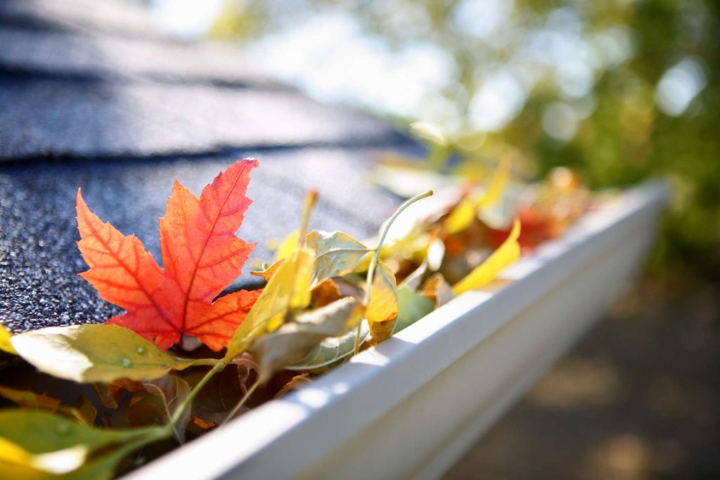 gutter cleaning - before - clogged gutter