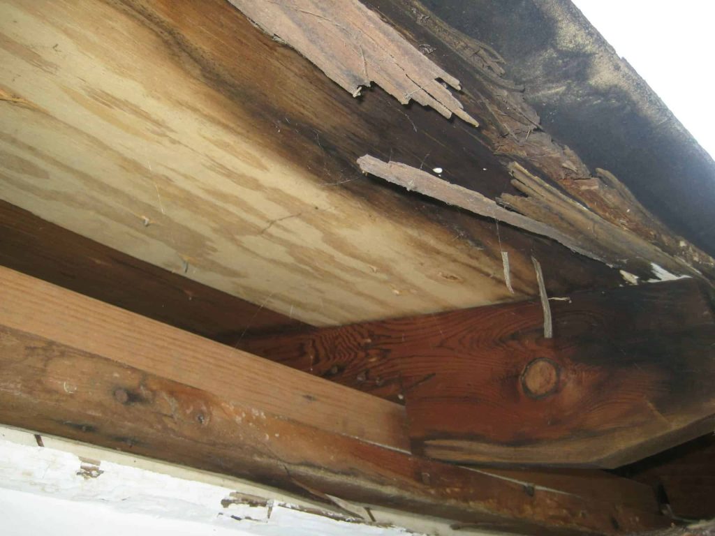 damaged_fascia_1.jpg