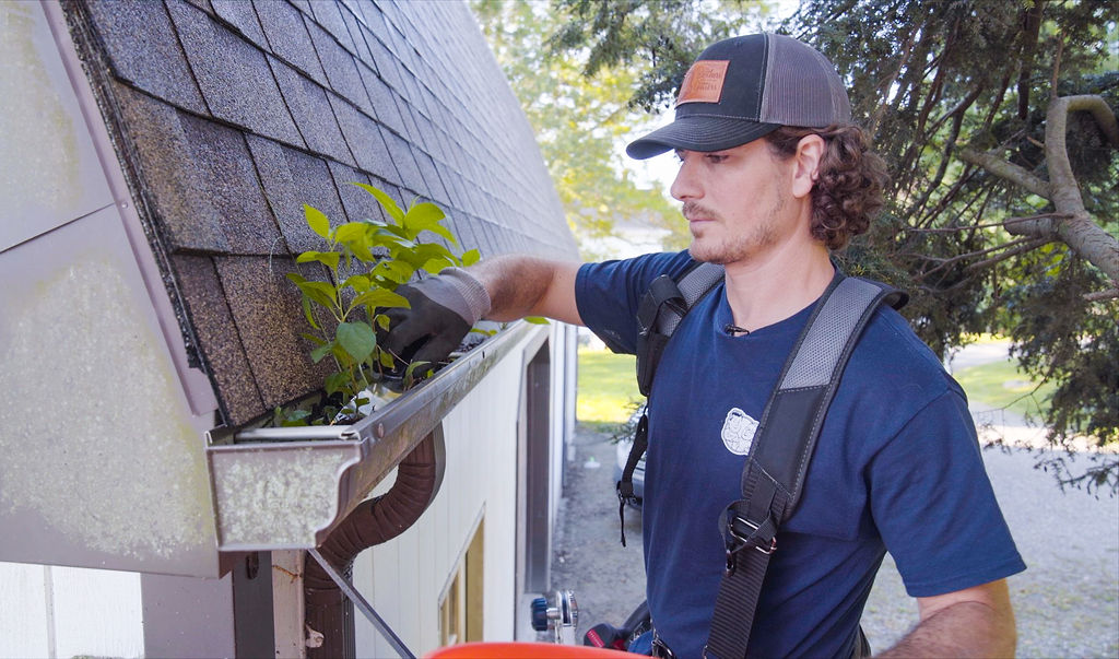 gutter cleaning services