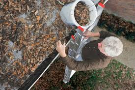 gutter services - cleaning