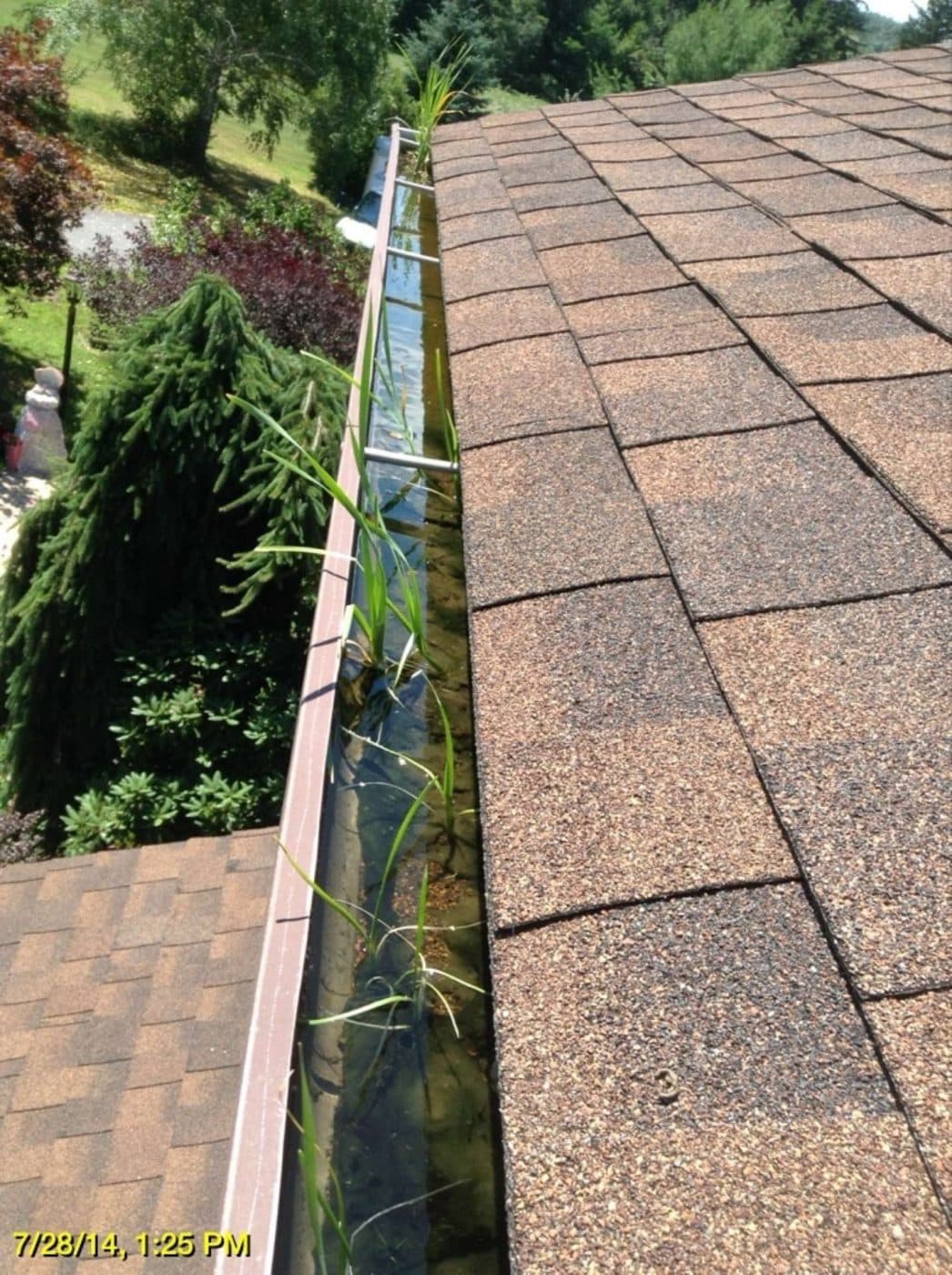 best way to clean gutters