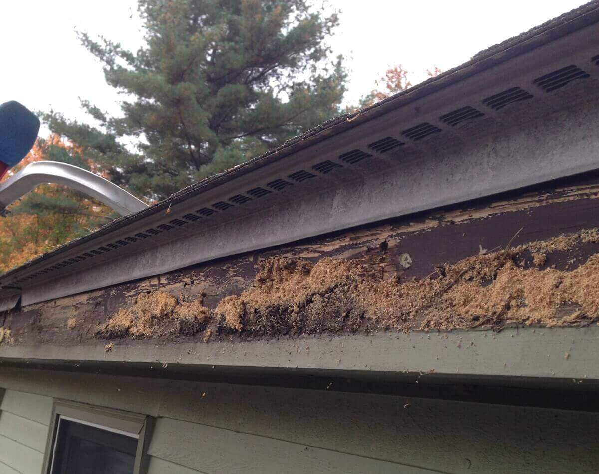 cost of seamless gutters installed
