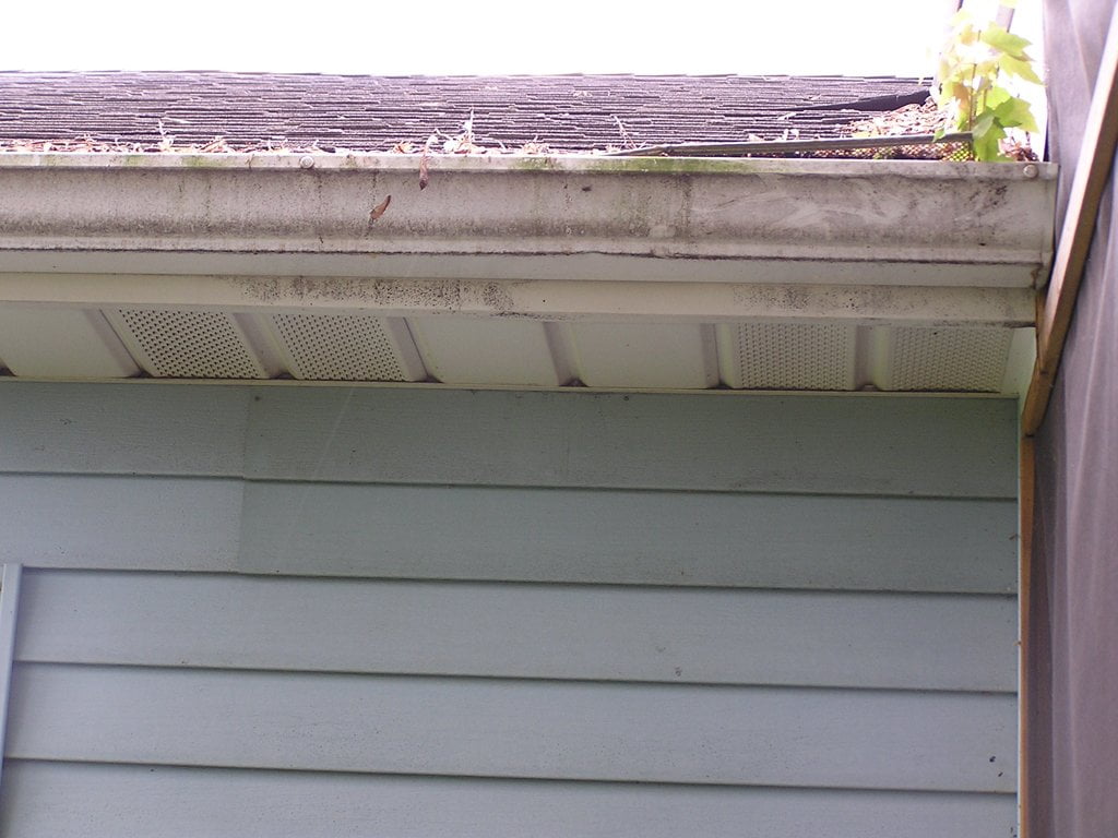 Old spiked rain gutter