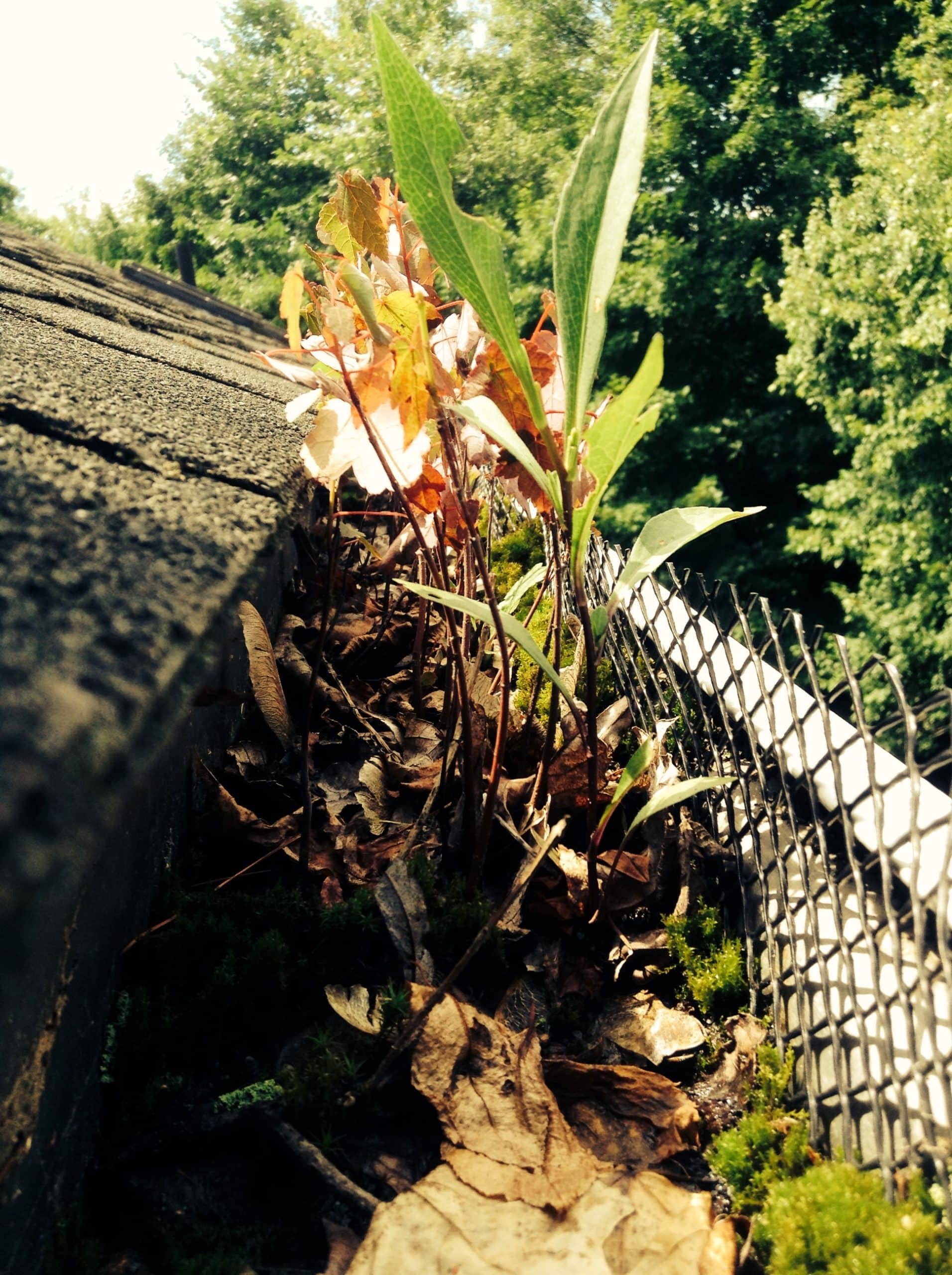 how to hang gutters